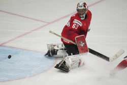 Sweden Hockey Worlds