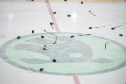 Sweden Hockey Worlds