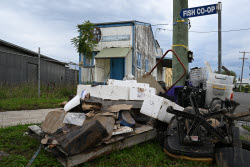 Clean-up underway after record floods in Taree, Australia