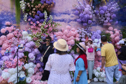 China Daily Life