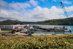 Krabozavodsk fish processing complex on Shikotan Island, Russia