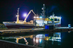 Krabozavodsk fish processing complex on Shikotan Island, Russia