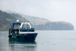 Krabozavodsk fish processing complex on Shikotan Island, Russia