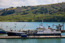 Krabozavodsk fish processing complex on Shikotan Island, Russia