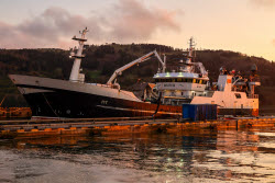 Krabozavodsk fish processing complex on Shikotan Island, Russia