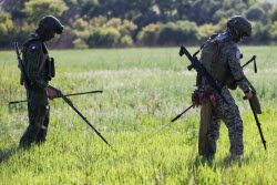 Russian sappers training in Lugansk People's Republic