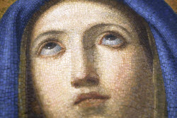 Vatican Codex Exhibithion