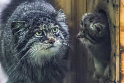 ФОТО ДНЯ
