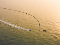 Oyster Harvest From The Sea In Rizhao