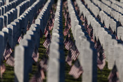 Memorial Day