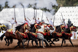 Traditional Equestrian Arts (Tbourida) in Rabat
