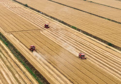 Farmers Busy With Summer Wheat Harvest In Huai'an