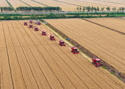 Farmers Busy With Summer Wheat Harvest In Huai'an