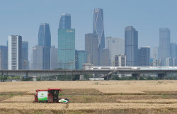 Farmers Busy With Summer Wheat Harvest In Huai'an
