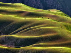 Natural Scenery Of Kalajun Grassland In Xinjiang