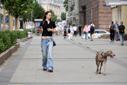 Moscow experiences very warm temperatures