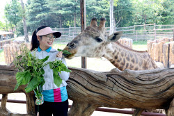 Animals Enjoy Special Zongzi Ahead Of Duanwu Festival In Nantong