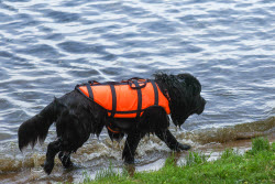 Rescuers prepare for summer season in Moscow