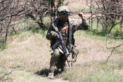 Motor rifle regiment training in Zaporozhye Region