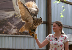 Holzan rehabilitation centre for birds of prey in Sverdlovsk Region, Russia