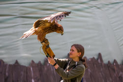 Holzan rehabilitation centre for birds of prey in Sverdlovsk Region, Russia