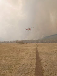 Wildfires in Transbaikal Region, Russia