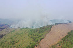 Wildfires in Transbaikal Region, Russia