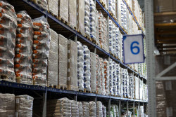 Pet food production in Belgorod Region, Russia