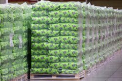 Pet food production in Belgorod Region, Russia