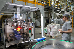 Pet food production in Belgorod Region, Russia