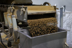Pet food production in Belgorod Region, Russia