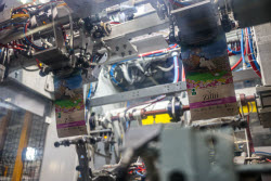 Pet food production in Belgorod Region, Russia
