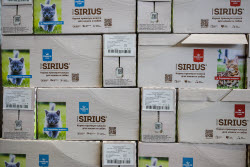 Pet food production in Belgorod Region, Russia