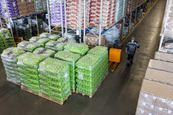 Pet food production in Belgorod Region, Russia