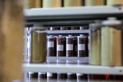 Pet food production in Belgorod Region, Russia