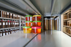 Pet food production in Belgorod Region, Russia