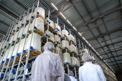 Pet food production in Belgorod Region, Russia