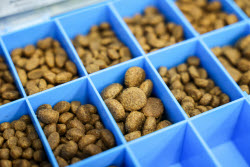 Pet food production in Belgorod Region, Russia