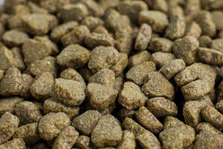 Pet food production in Belgorod Region, Russia