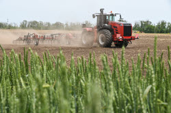 Zolotaya Niva 2025 agro-industrial exhibition and fair in Krasnodar Region, Russia