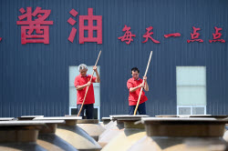 Soy Sauce Production In Neijiang