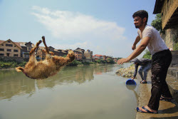 Kashmir Prepares For Eid Al Adha - India