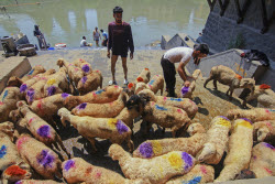 Kashmir Prepares For Eid Al Adha - India