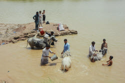Preparing For Eid Al Adha - Pakistan