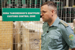 Работа таможенной службы в аэропорту Шереметьево