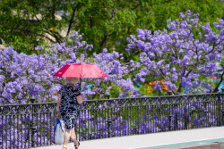 Yellow Warning This Wednesday For Heat In Cordoba, Jaen And Seville With Maximum Temperatures Up To 40 Degrees..