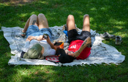 Yellow Warning This Wednesday For Heat In Cordoba, Jaen And Seville With Maximum Temperatures Up To 40 Degrees..