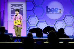 Spelling Bee