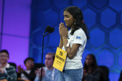 Spelling Bee