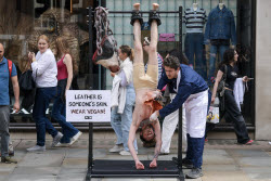 PETA Anti-Leather Display